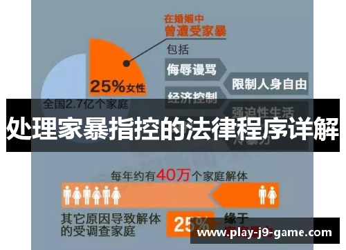 处理家暴指控的法律程序详解