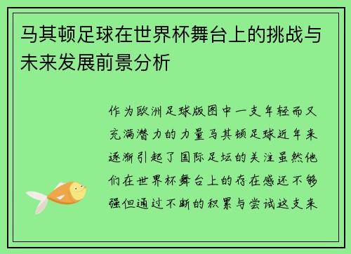 马其顿足球在世界杯舞台上的挑战与未来发展前景分析