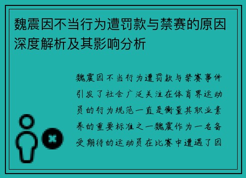 魏震因不当行为遭罚款与禁赛的原因深度解析及其影响分析